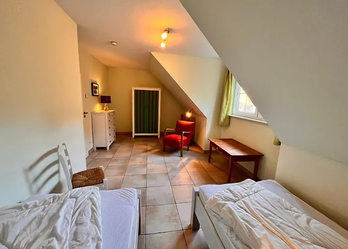 Wellenlaeufer Breege